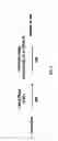 Fig. 07 - COMPOSITIONS AND METHODS FOR TREATING COLLAGEN-MEDIATED DISEASES