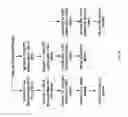 Fig. 74 - COMPOSITIONS AND METHODS FOR TREATING COLLAGEN-MEDIATED DISEASES
