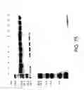 Fig. 80 - COMPOSITIONS AND METHODS FOR TREATING COLLAGEN-MEDIATED DISEASES