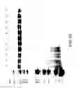 Fig. 92 - COMPOSITIONS AND METHODS FOR TREATING COLLAGEN-MEDIATED DISEASES