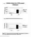 Fig. 08 - Methods for suppressing Toll-like Receptor 4 (TLR4) function using TLR14 antagonists