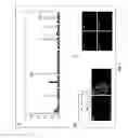 Fig. 02 - Monoclonal human tumor-specific antibody