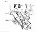 Fig. 03 - Immunoglobulin Fc polypeptides