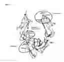 Fig. 07 - Immunoglobulin Fc polypeptides