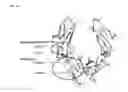 Fig. 09 - Immunoglobulin Fc polypeptides