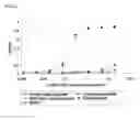 Fig. 13 - Immunoglobulin Fc polypeptides