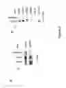 Fig. 09 - NLRR-1 antagonists and uses thereof