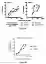 Fig. 06 - ANTI-CD20 THERAPEUTIC COMPOSITIONS AND METHODS