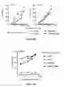 Fig. 08 - ANTI-CD20 THERAPEUTIC COMPOSITIONS AND METHODS