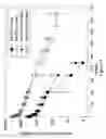 Fig. 13 - ANTI-CD20 THERAPEUTIC COMPOSITIONS AND METHODS