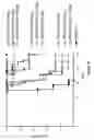 Fig. 18 - ANTI-CD20 THERAPEUTIC COMPOSITIONS AND METHODS