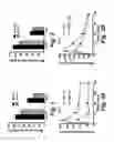 Fig. 02 - METHODS TO REGULATE GLUCOSE METABOLISM