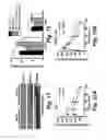 Fig. 06 - METHODS TO REGULATE GLUCOSE METABOLISM