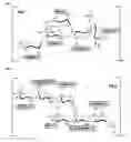 Fig. 01 - Polysaccharide immunogens from 
