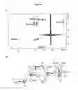 Fig. 04 - Polysaccharide immunogens from 