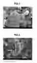 Fig. 02 - Composite particles, method for preparing the same and cosmetic composition