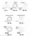 Fig. 02 - Drug delivery compositions including nanoshells for triggered drug release