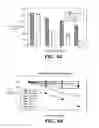 Fig. 06 - METHODS AND COMPOSITONS FOR ANTISENSE VEGF OLIGONUCLEOTIDES