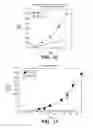 Fig. 16 - METHODS AND COMPOSITONS FOR ANTISENSE VEGF OLIGONUCLEOTIDES