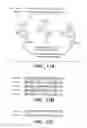 Fig. 22 - METHODS AND COMPOSITONS FOR ANTISENSE VEGF OLIGONUCLEOTIDES