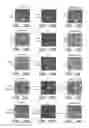 Fig. 29 - METHODS AND COMPOSITONS FOR ANTISENSE VEGF OLIGONUCLEOTIDES
