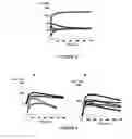 Fig. 04 - Biomaterial for the controlled delivery of ingredients