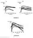 Fig. 05 - Biomaterial for the controlled delivery of ingredients