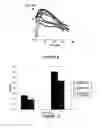 Fig. 06 - Biomaterial for the controlled delivery of ingredients