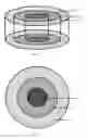 Fig. 02 - Biphasic implant device providing gradient