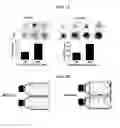Fig. 02 - Tendon stem cells