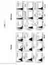 Fig. 05 - Tendon stem cells