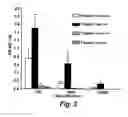 Fig. 03 - IMMUNOGENIC COMPOSITIONS AND METHODS OF USE THEREOF