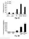 Fig. 04 - IMMUNOGENIC COMPOSITIONS AND METHODS OF USE THEREOF