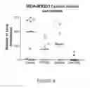 Fig. 09 - COMBINATION OF A RETINOID AND A PLATINUM ANTICANCER AGENT