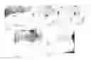 Fig. 02 - Therapeutic methods and pharmaceutical compositions for treating warts with tellurium compounds