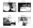 Fig. 16 - Therapeutic methods and pharmaceutical compositions for treating warts with tellurium compounds