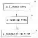 Fig. 01 - METHOD TO STABILIZE LIQUID BETALAINS