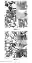 Fig. 02 - FOAMED CANDY