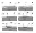 Fig. 01 - Method of repairing run-in coatings