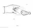 Fig. 02 - FINGER NAPKIN