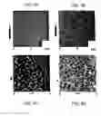 Fig. 07 - Methods utilizing scanning probe microscope tips and products thereof or produced thereby