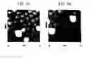 Fig. 08 - Methods utilizing scanning probe microscope tips and products thereof or produced thereby