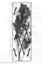Fig. 06 - CAMOUFLAGE PATTERN SCHEME FOR CAMOUFLAGE PATTERNS ON OBJECTS
