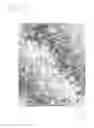 Fig. 23 - CAMOUFLAGE PATTERN SCHEME FOR CAMOUFLAGE PATTERNS ON OBJECTS