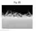 Fig. 04 - Surface-coated member and cutting tool
