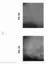 Fig. 09 - SILICA-BASED PARTICLE COMPOSITION