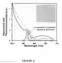 Fig. 07 - MICROBIALLY-MEDIATED METHOD FOR SYNTHESIS OF NON-OXIDE SEMICONDUCTOR NANOPARTICLES