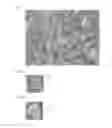 Fig. 02 - POSITIVE ELECTRODE ACTIVE MATERIAL AND LITHIUM SECONDARY BATTERY