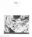 Fig. 02 - Electrode catalyst substrate and method for producing the same, and polymer electrolyte fuel cell