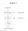 Fig. 02 - Process for preparing of a catalyst solution for fuel cell and a membrane electrode assembly using the same